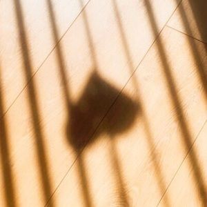 Meet your Posher, Rosana